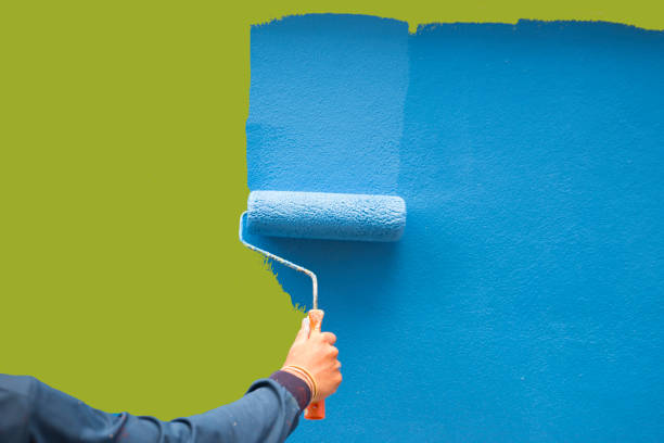 Best Touch-Up Painting  in Hermantown, MN